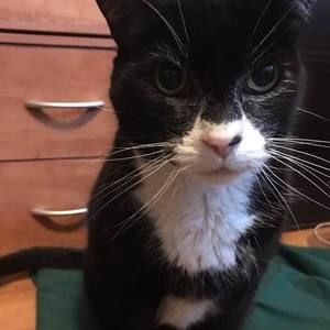 Meet your Posher, Jackie